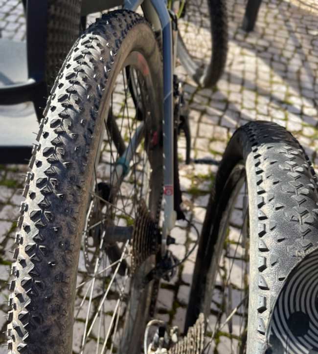 Review Race King ProTection Best MTB bikepacking tire in 2023