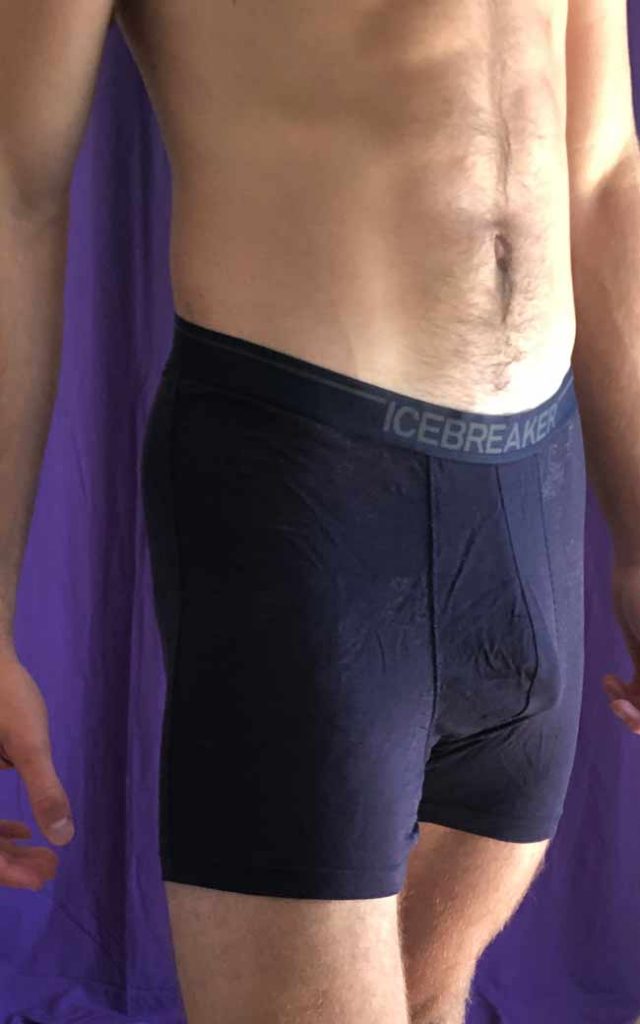 ICEBREAKER Anatomica Men's Boxer