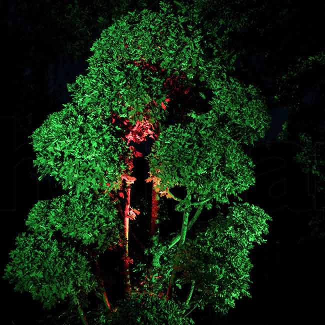 truss-light-test-on-tree-at-night